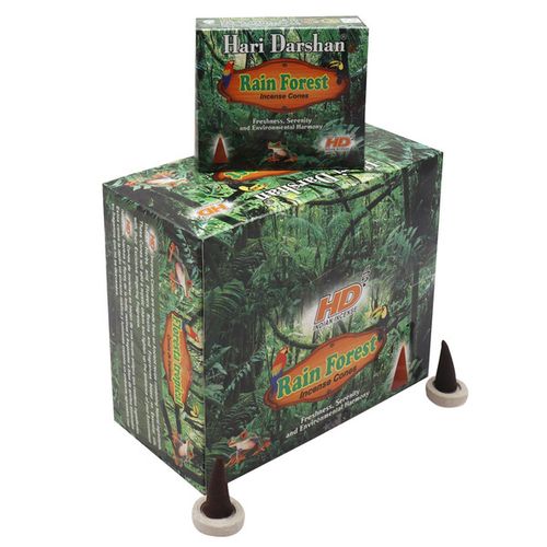 عود مخروطی جنگل بارانی هاری دارشان