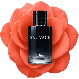 ادکلن دایور در میان گل زیبا