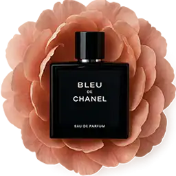 عطر مردانه شانل وسط یک گل رز